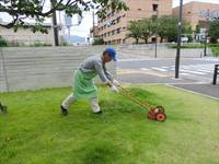 庭園手入れ