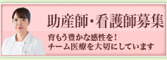 助産師・看護師募集