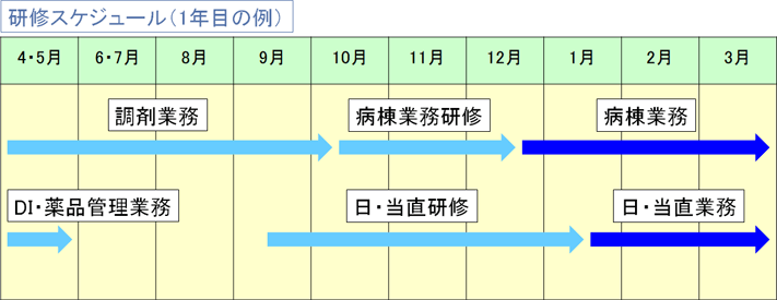 薬学生　新人研修スケジュール