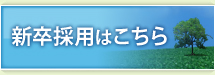 新卒採用はこちら