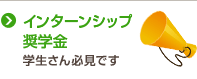 インターンシップ奨学金